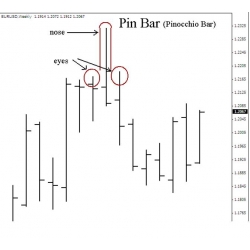 Pin bars-advanced and Pin bars introduction